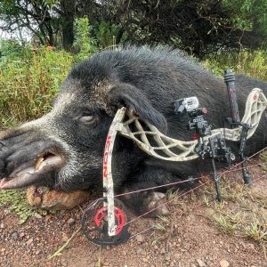 Bowhunting