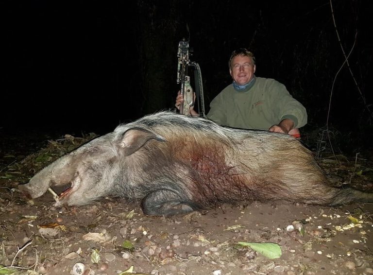 Bowhunting