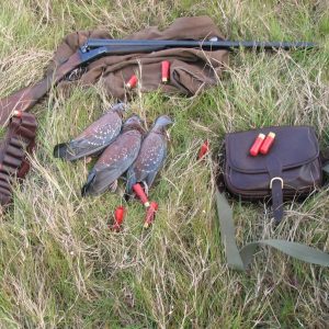 Wingshooting